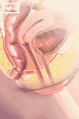 267_400竖版 竖屏gif 动态图 动图