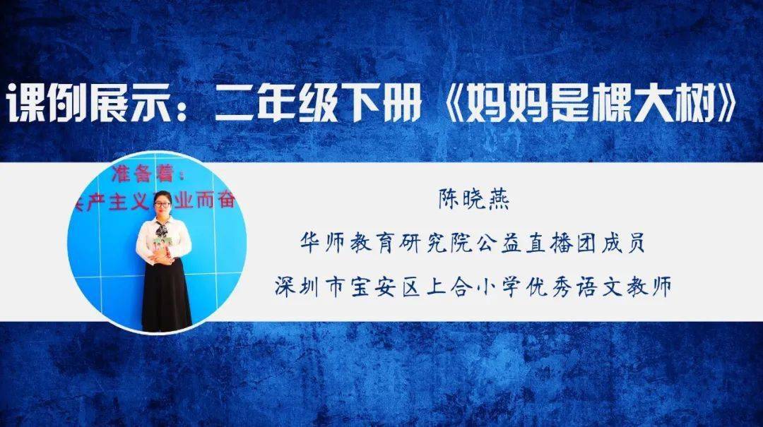 进行了"言语识字"二年级下册陈晓燕深圳市宝安区上合小学优秀语文教师