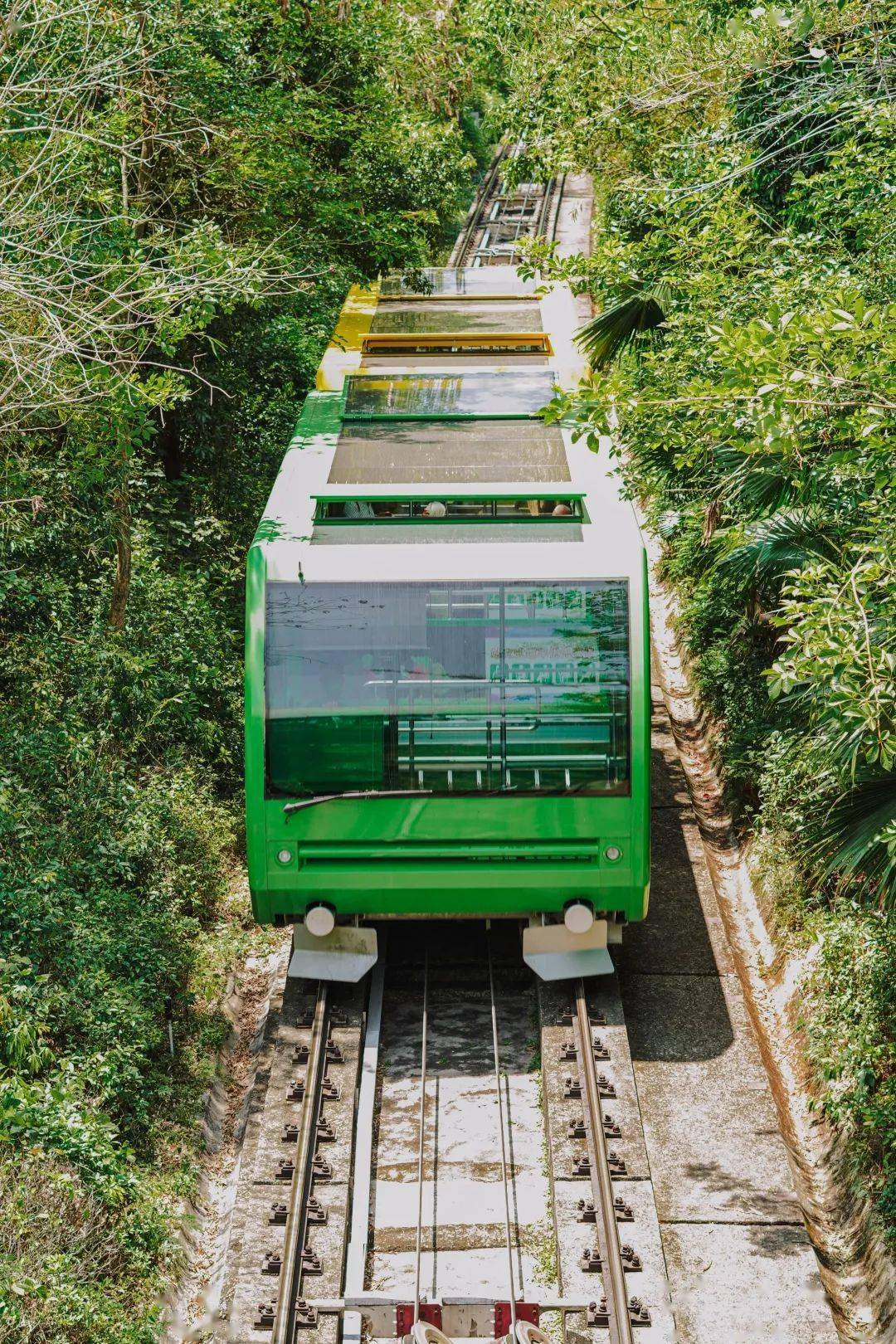 陪她坐上丛林缆车或云海索道在爬坡上升的时间里你可以试着在这样一个