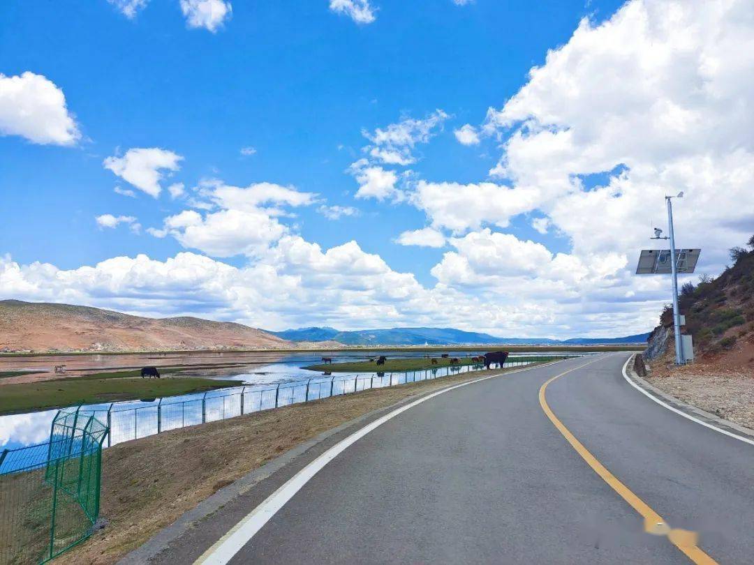 5月纳帕海,风景扎实美!_迪庆