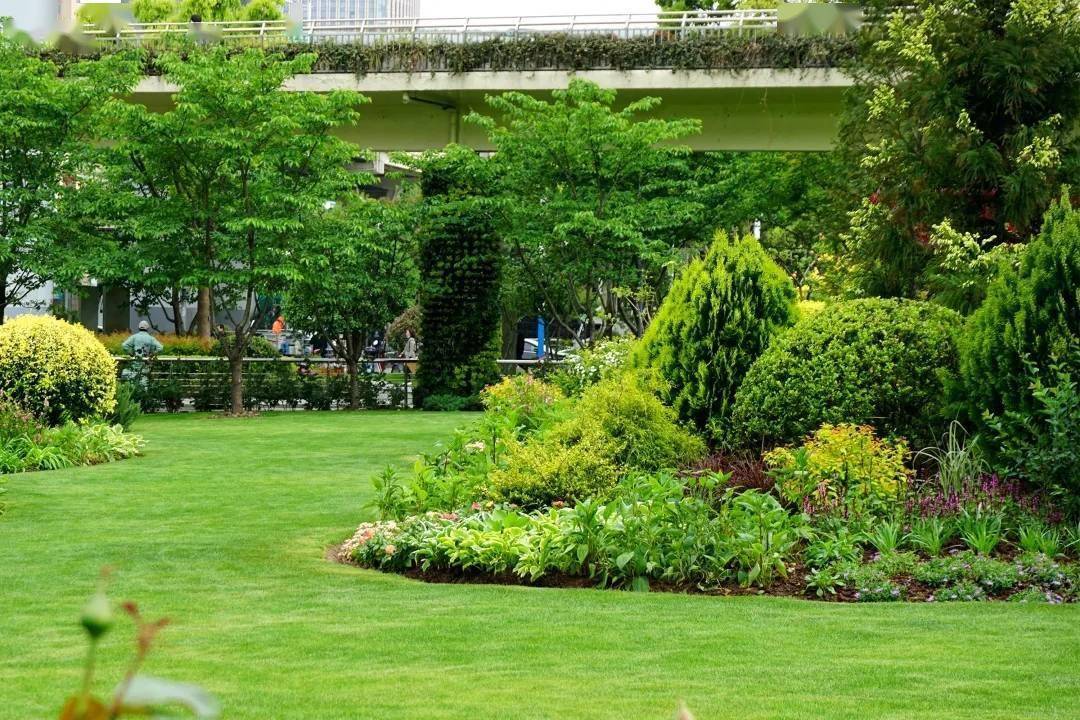 静安中环公园花境优化调整_绿化