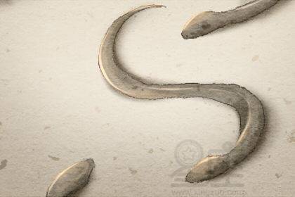 梦境解析，男的梦见两条蛇——象征与启示的深度探索