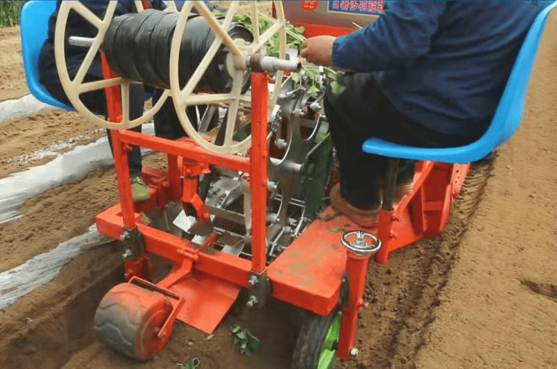 微山县的农户则说,"一看就比人工好,起垄高度高低可调,苗子移栽整齐
