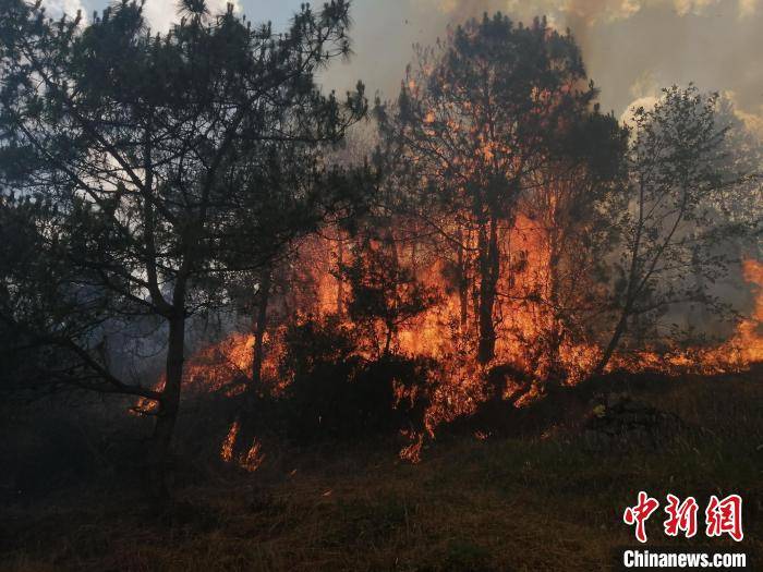 云南大理突发森林火灾千余人正扑救 救援