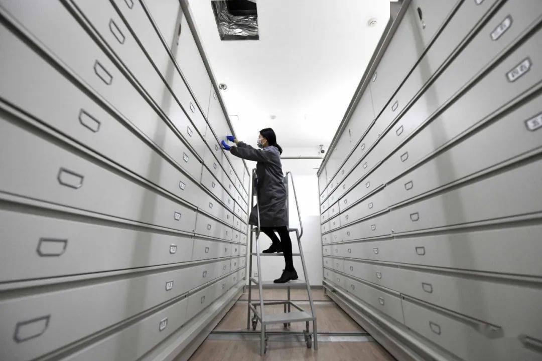 探访清华大学艺术博物馆地下库房这里有一群守宝人