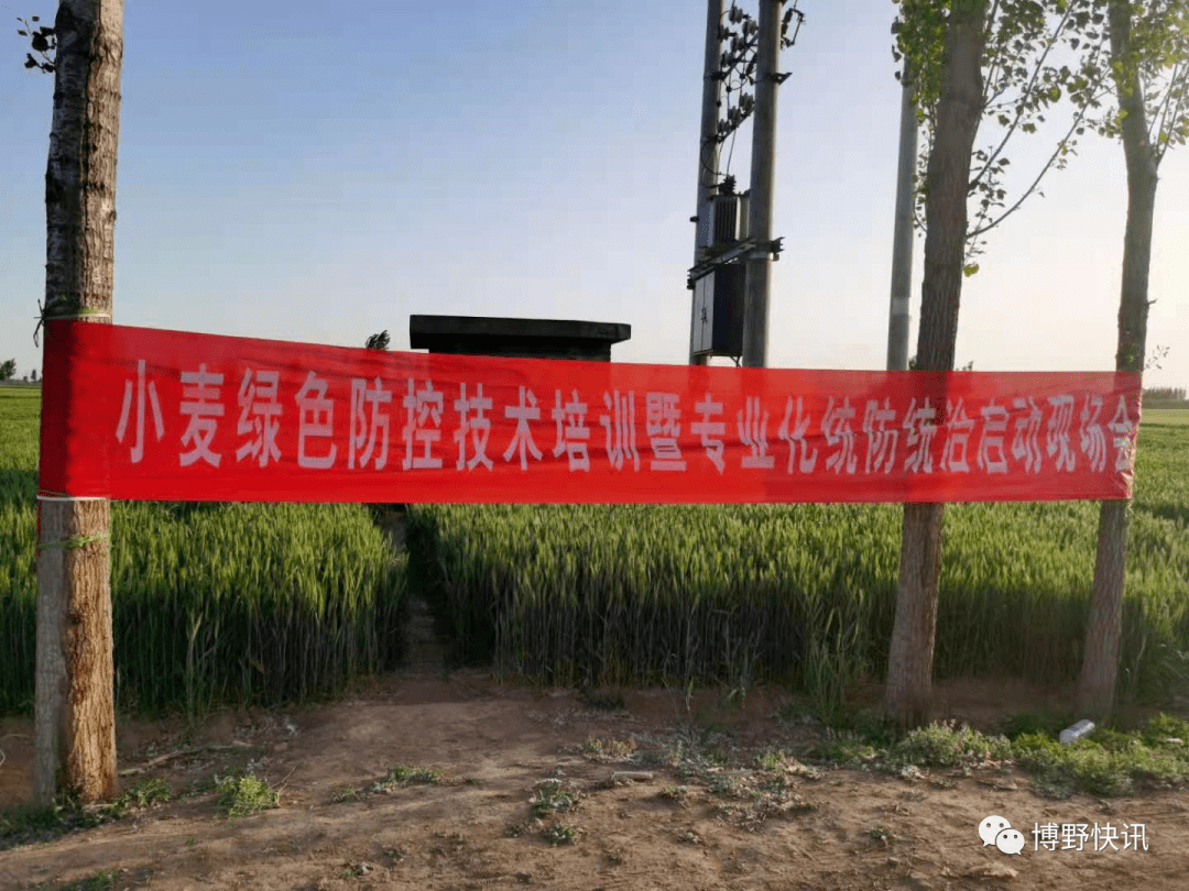 博野县召开绿色防控示范区小麦一喷三防统防统治启动会