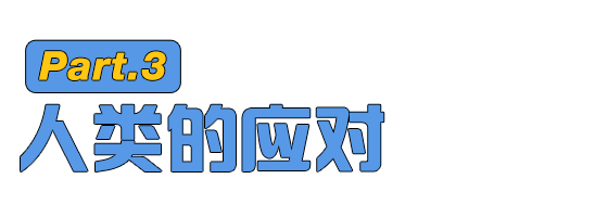 柴犬为什么总是被卡住狗头 智商