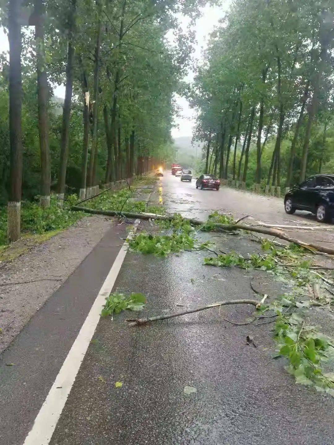 狂风暴雨,京山一路段通行受阻,14人冒雨紧急处置