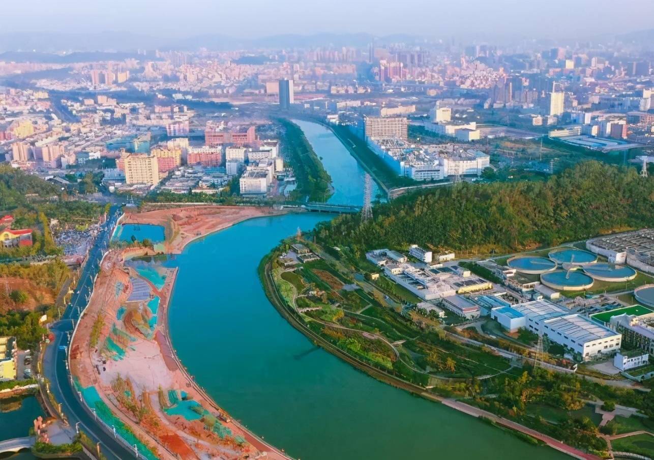 深圳企业排行榜_2020年度深圳连锁生活服务10强企业排行榜(附全榜单)