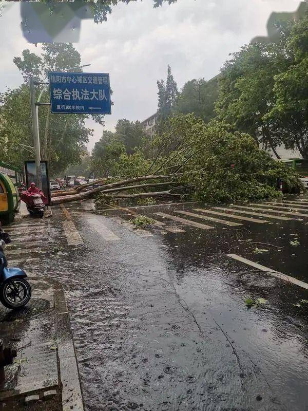 信阳突降大冰雹图片图片