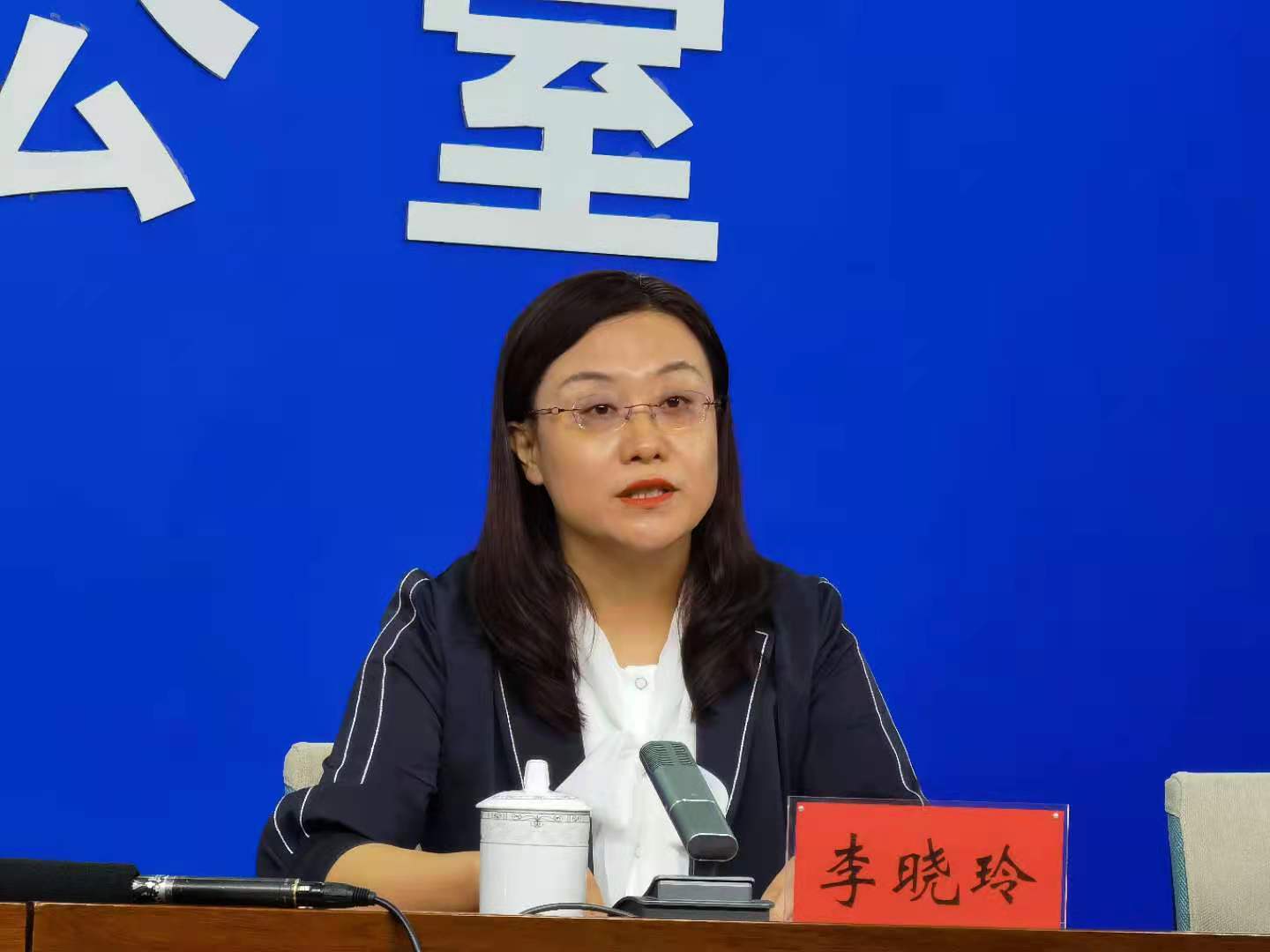 宁夏新闻网讯(记者 樊玲 石卿)5月11日,宁夏自然资源厅副厅长李晓玲在