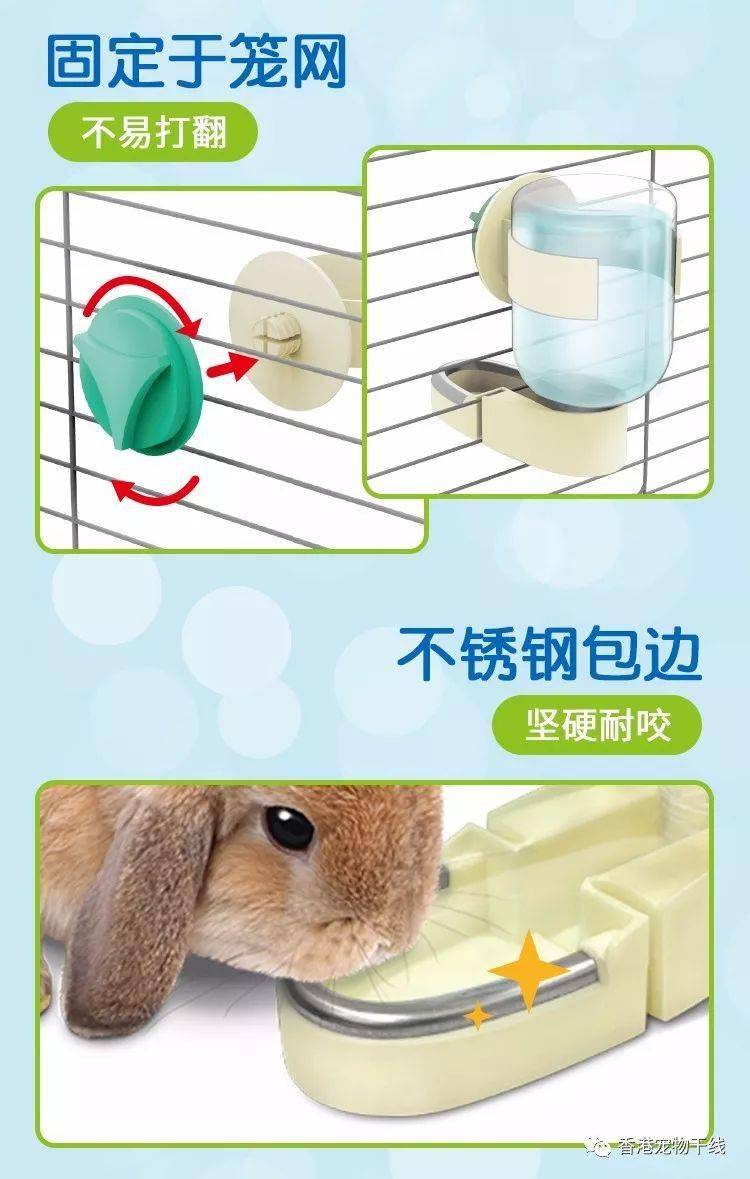 你家兔子每天喝水多吗?_饮水量