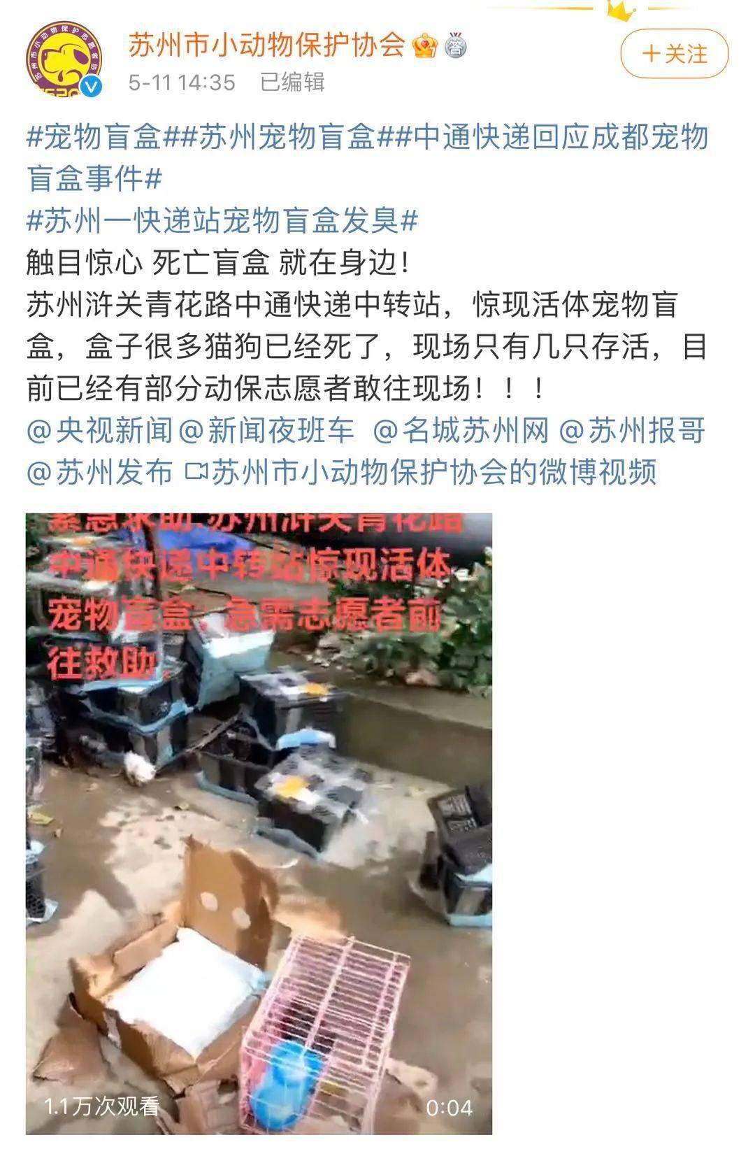 又是中通!快递站发现宠物盲盒快件13件,动物已死亡