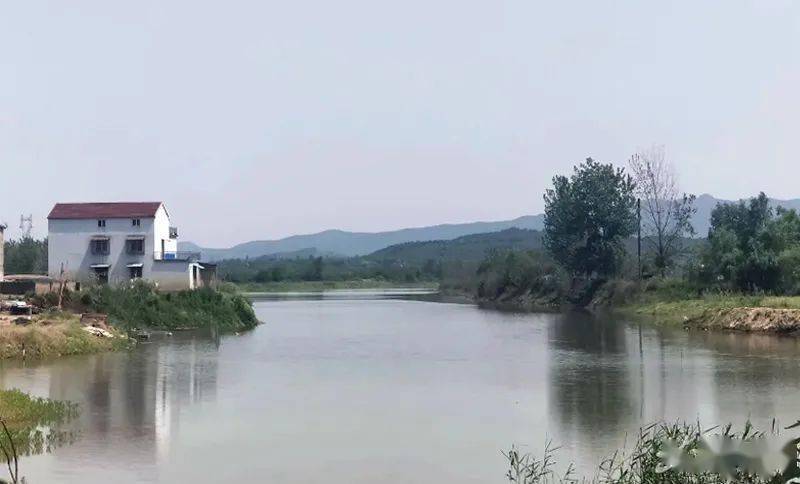 练潭老街我来迟了