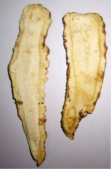 当归羊肉汤与当归羊肉羹作用有什么不同