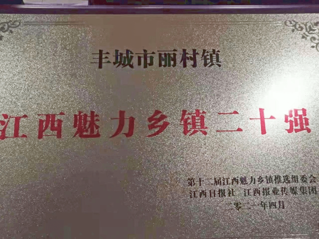 丰城市丽村镇源头活水展特色风情