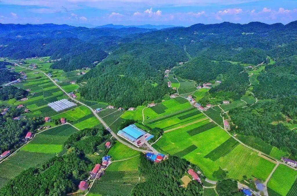 生活新奋斗的起点脱贫摘帽不是终点张发卫一行先后前往黄粮镇金家坝村