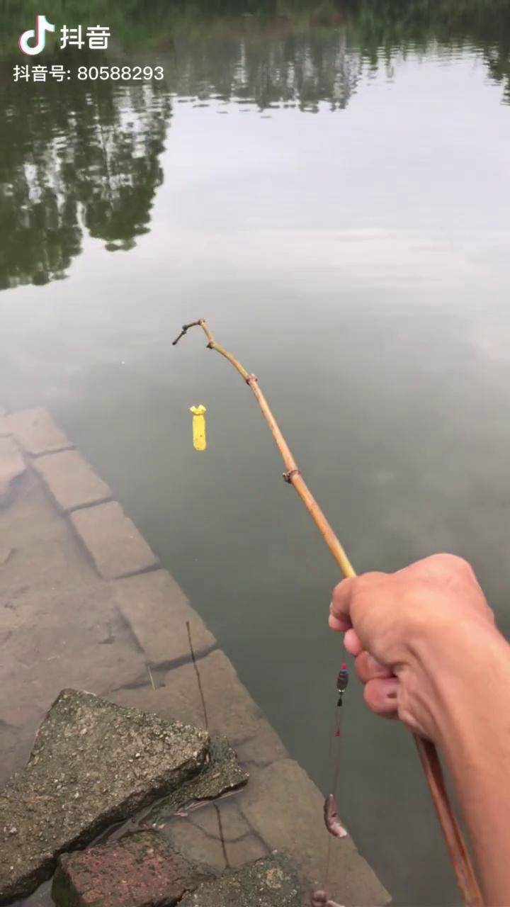 用小竹竿钓鱼就是好,一下子就中了大鱼竹竿钓鱼