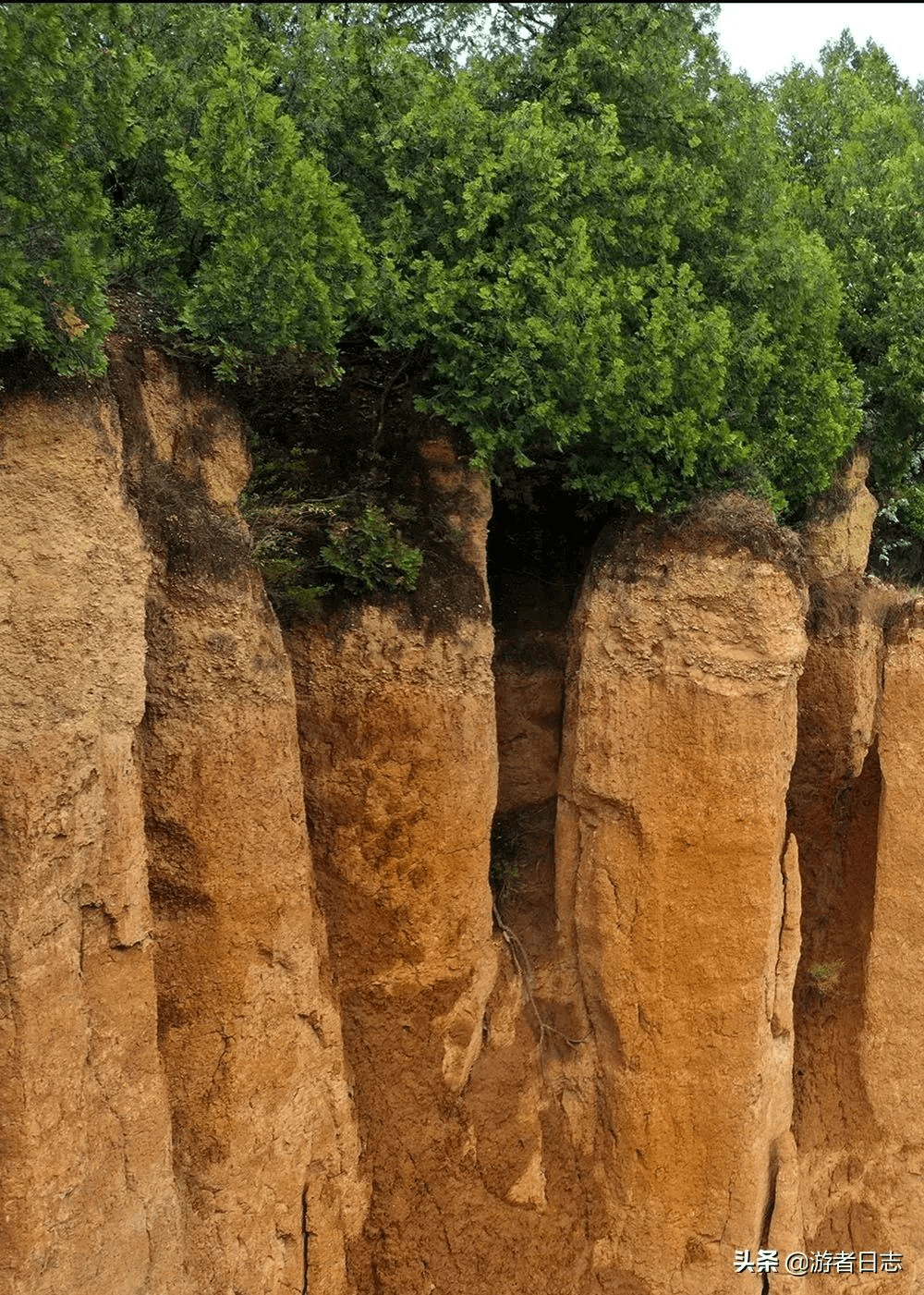 合水红土林,平地涌千峰_景观