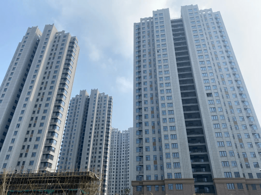 新区性价比楼盘金鼎尚城均价9800元m05起在售