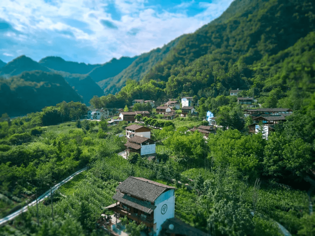 在平武的大山裡縱情山水放浪形骸