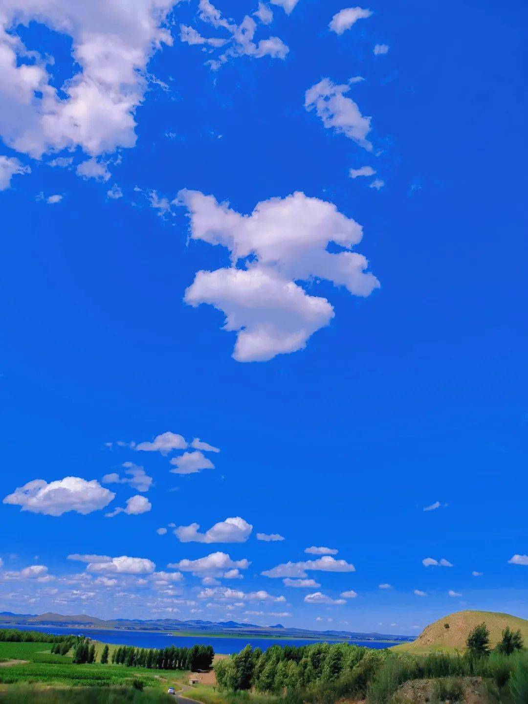 红城的夏天拍了拍你最美风景等你来打卡