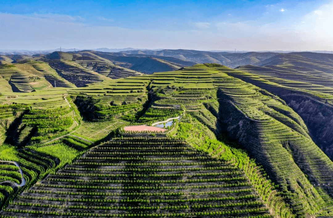 会宁打出乡村振兴组合拳