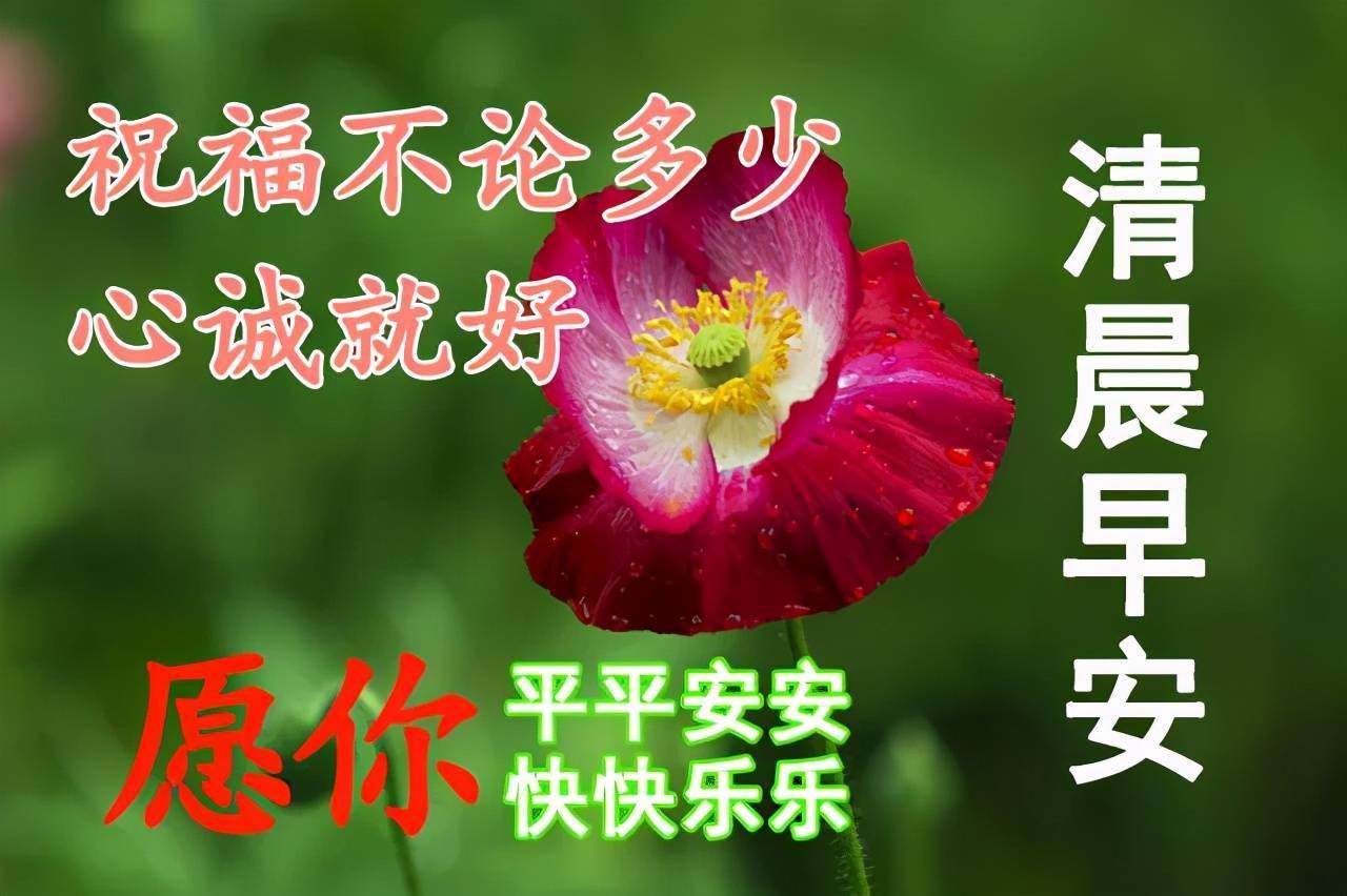 早安吉祥願清晨的問候給你帶來一份清爽的心情早安