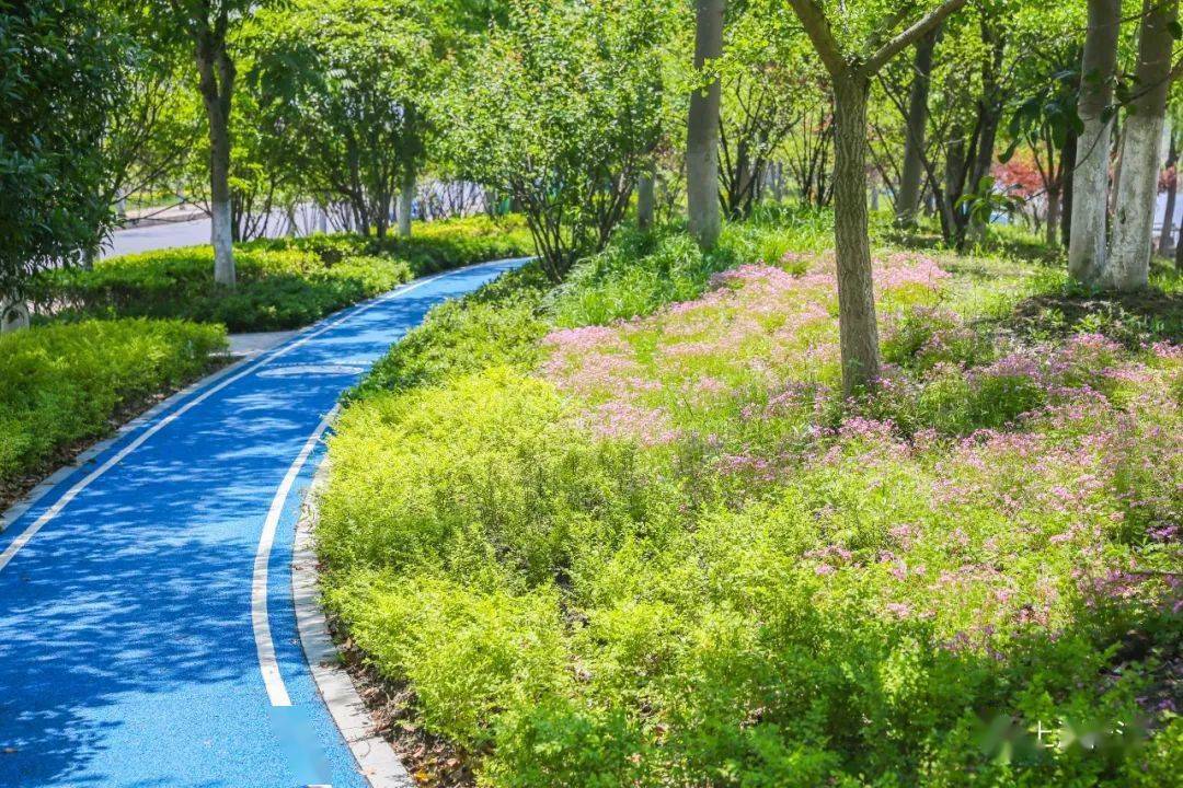 【便民】全长1850米!松江新增一条可赏景,健身的亲水绿道