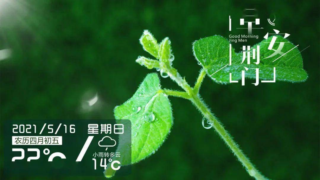 语音丨早安荆门〔2021.5.16 周日