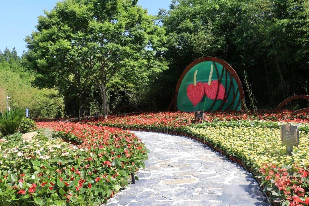 探索赏花正当时花博南园姹紫嫣红处处芬芳