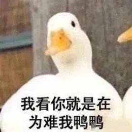 d77bd37e64b9415f94fea4a28253c37a.jpeg