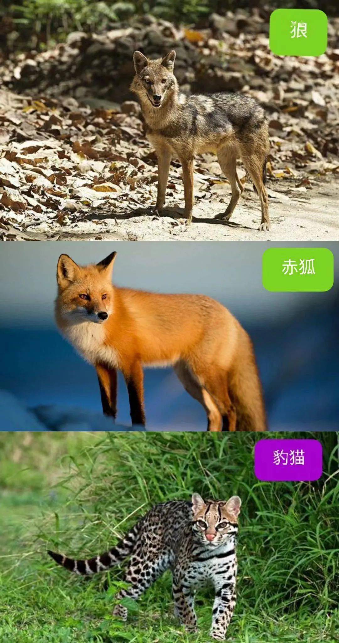 249b07b12ee547bdb8597ea71dde3f50.jpeg