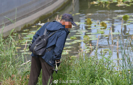 公园内再现"弹弓侠,这次打的是鱼