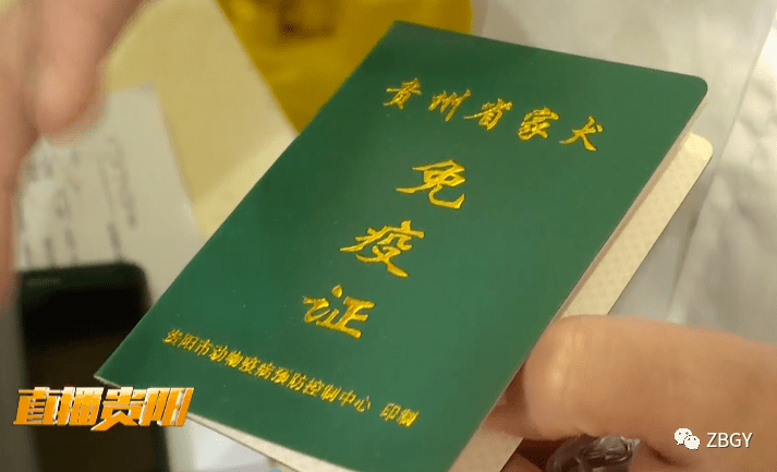 文明养犬大家谈文明养犬从免疫做起