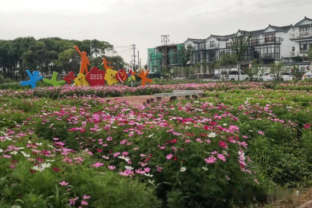 金華花海項目,只是金華助推村級集體經濟快速發展的一個縮影.