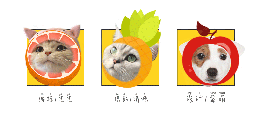 第一杯冰沙牛乳 南宁奶茶届的下一杯爆款就是她 菠萝