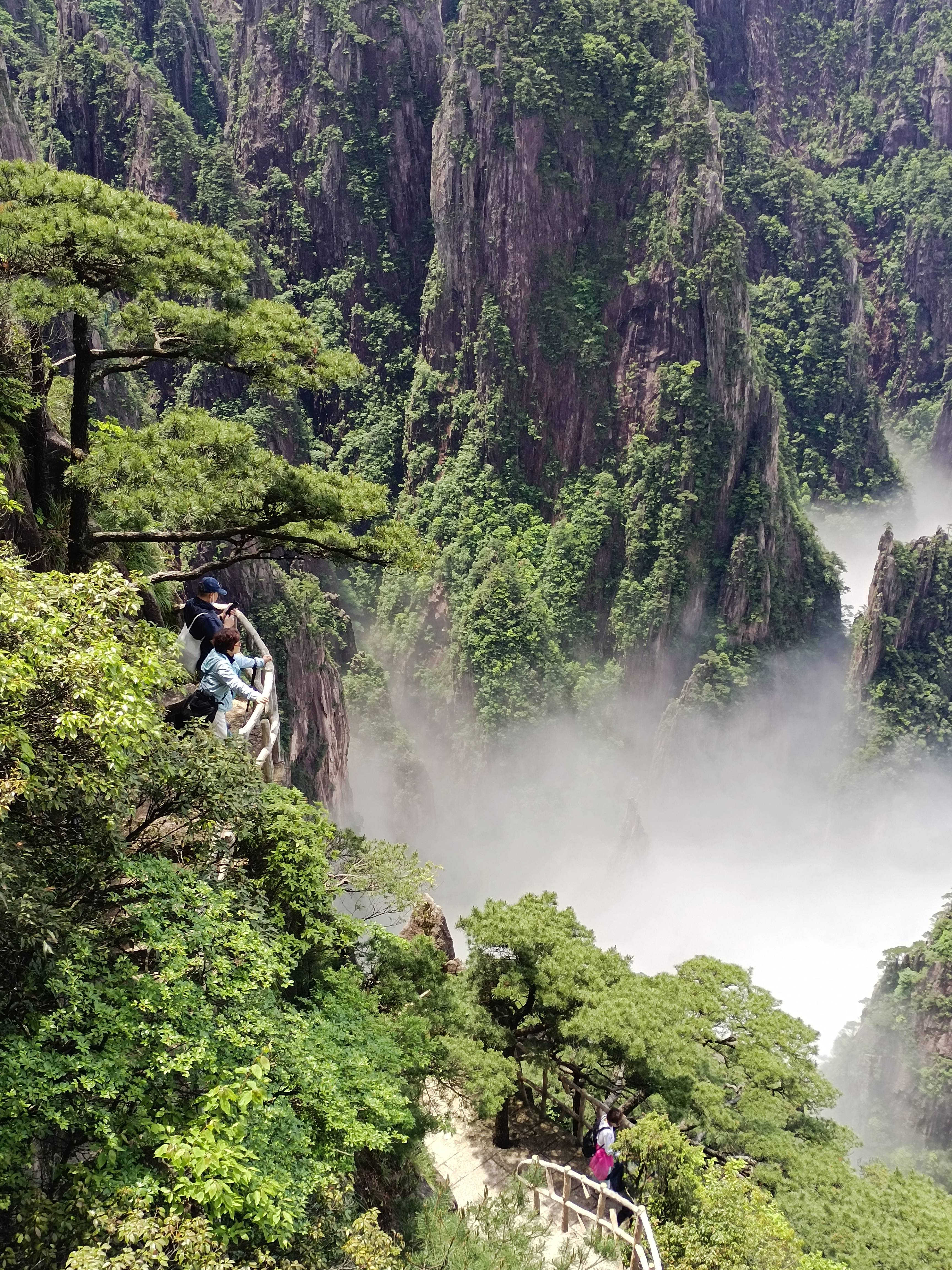 入夏的黄山天气凉爽且多雨水,前几日接连下起了好几场雨,雨后的黄山