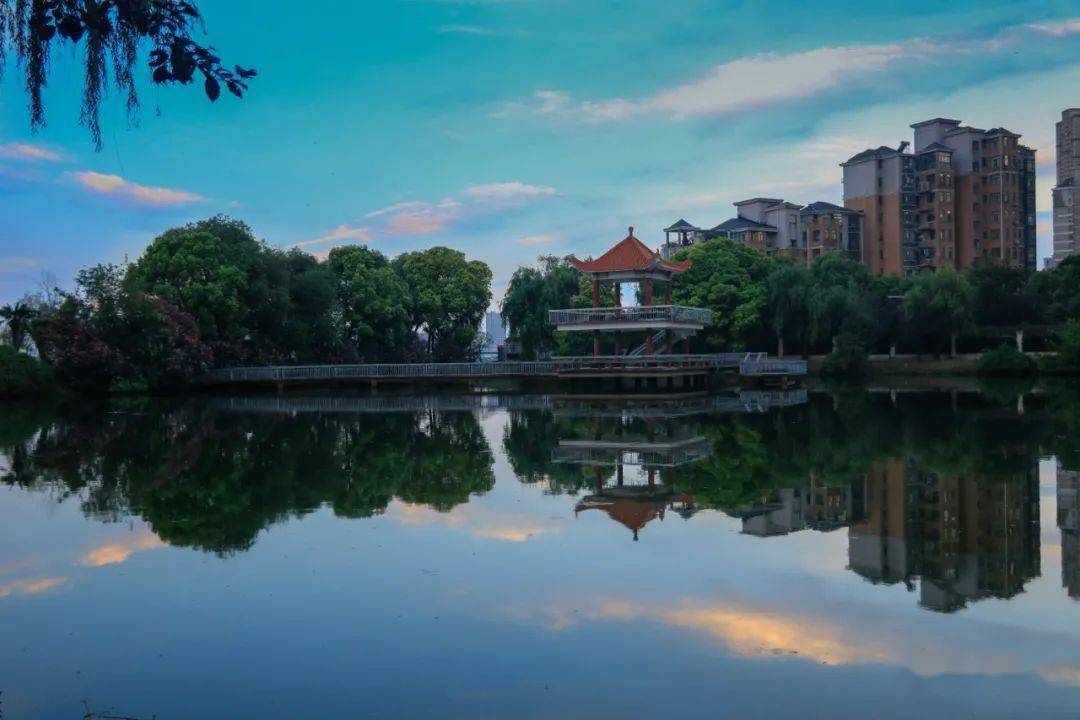 琴园为么斯冇得琴