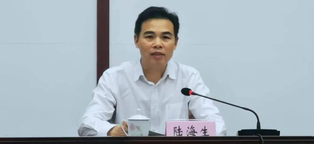 市委常委,宣传部部长,副市长陆海生讲话会议强调,各县(区),指挥部各