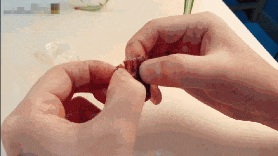 01d890d6e73b48fd844cd0790dd90b1f.gif