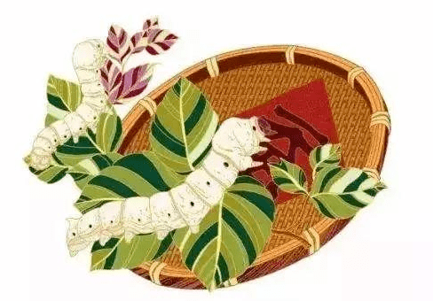 【节气普法】今日小满,适度运动