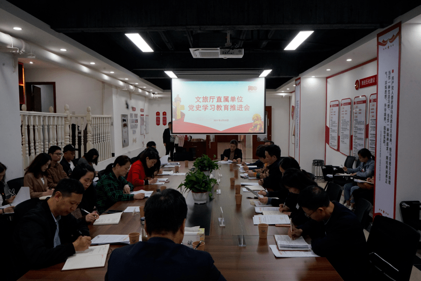 湖南省文化和旅游厅召开直属单位党史学习教育推进会