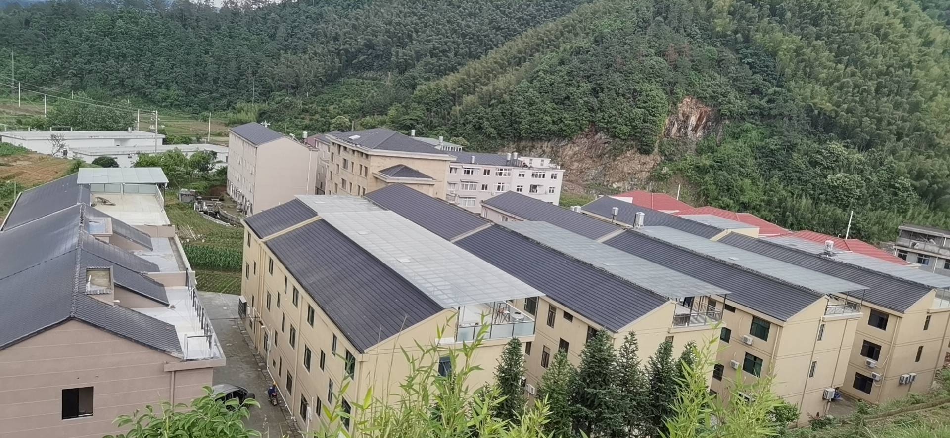 浙江诸暨乡贤兄弟出资五千万为乡亲建排屋已有44户入住