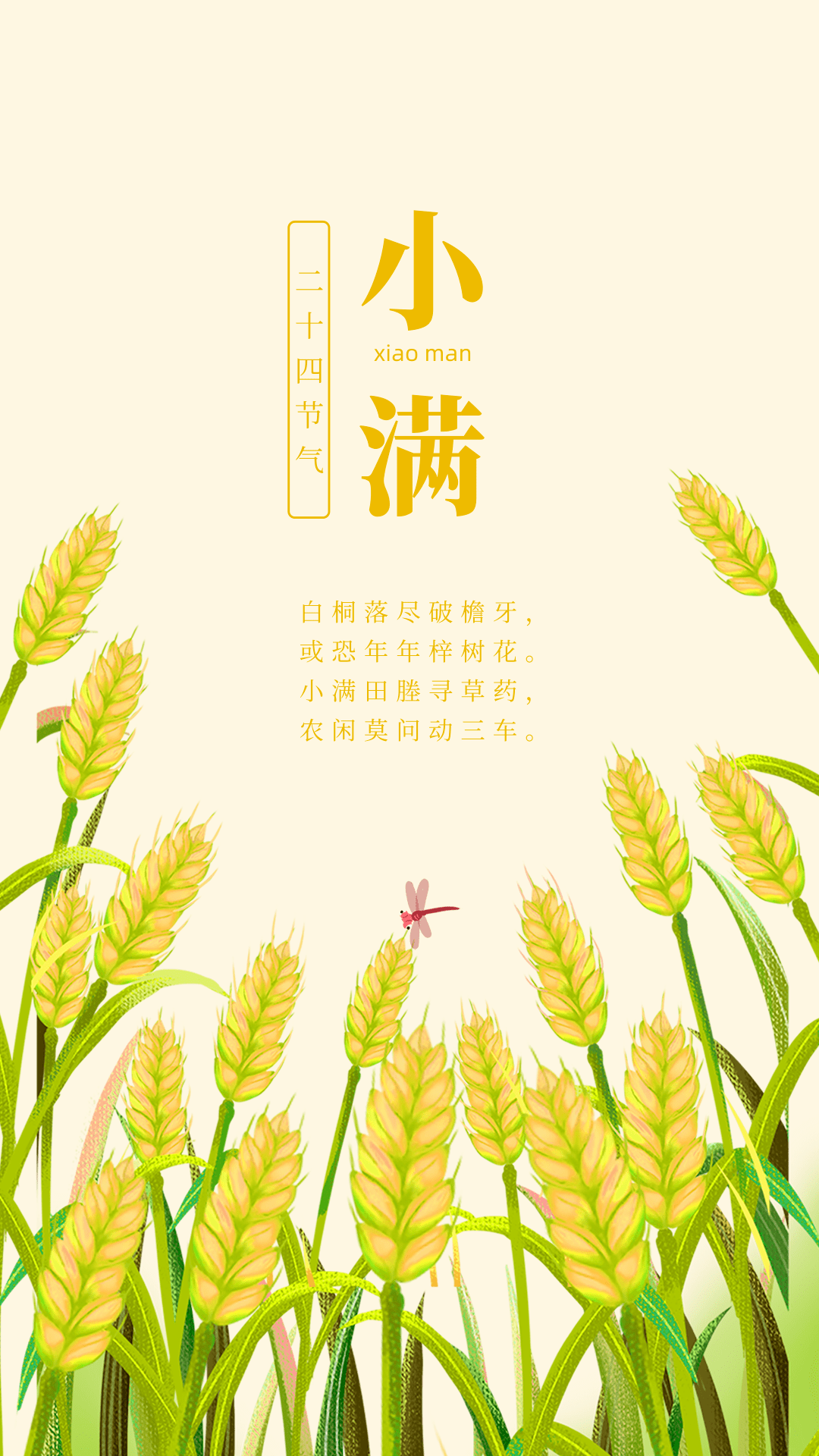 小满丨最好人生是小满,艾灸祛湿正当时