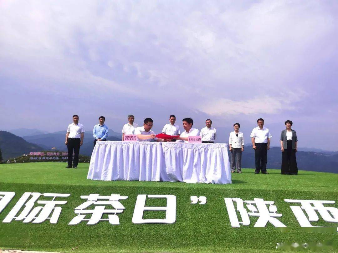 2021年国际茶日陕西分会场主题活动在安康平利启动