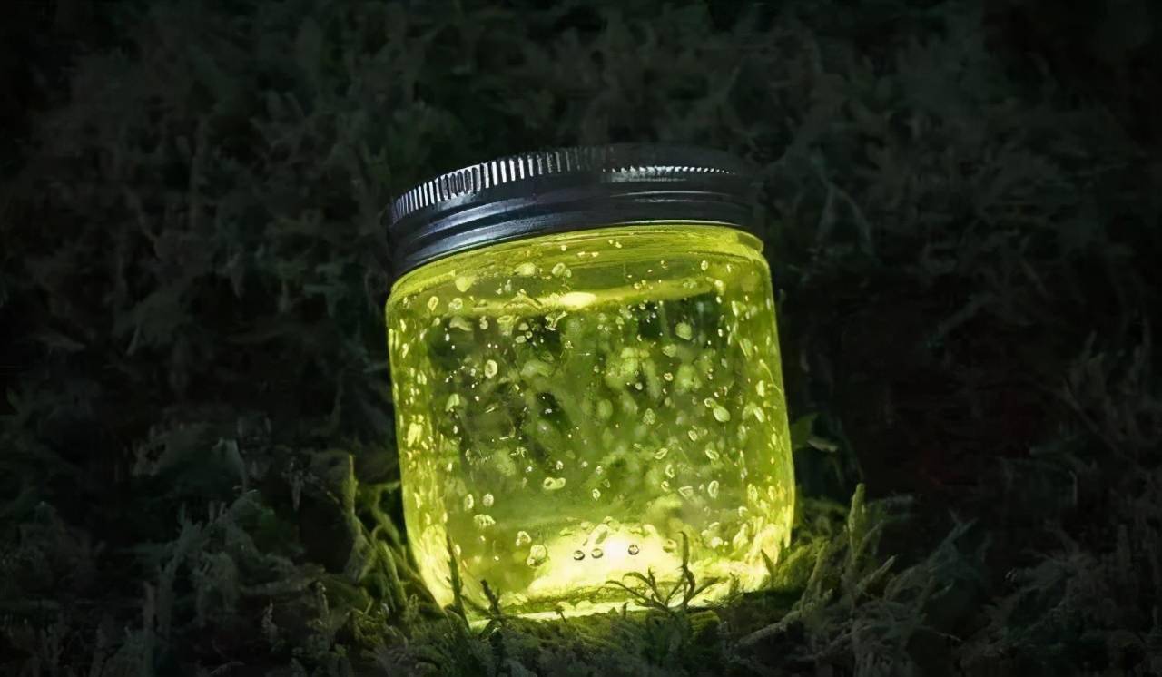 有人拿瓶子大量捕捉萤火虫.