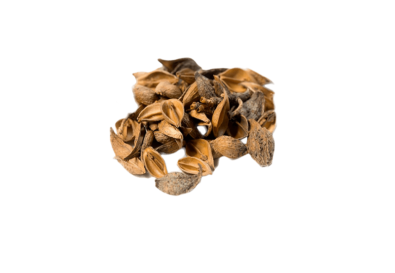 c8a40731ef0c491bb67a3d67ba1ae239.png