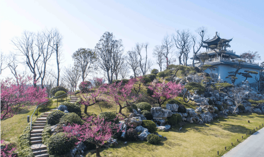 文章配图-10