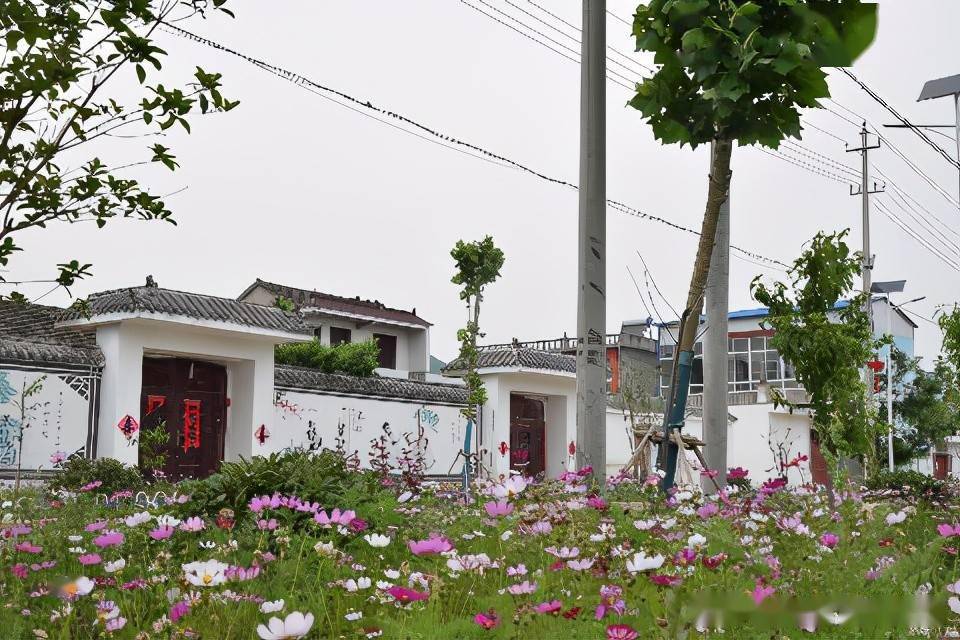 近日,宿州市埇桥区顺河镇王唐中心村内到处鲜花盛开,景色宜人.